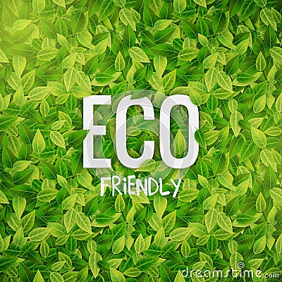 Eco friendly banner with leaves, vector illustration Vector Illustration
