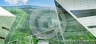 Eco-friendly building in the modern city. Sustainable glass office building with tree for reducing heat and carbon dioxide. Office Stock Photo