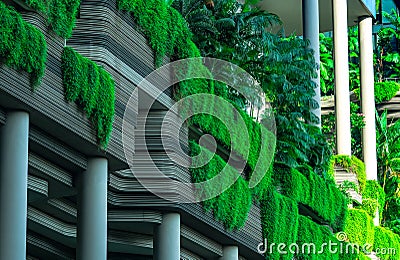 Eco friendly building with vertical garden in modern city. Green plant and tree forest and ivy on facade on sustainable building. Stock Photo