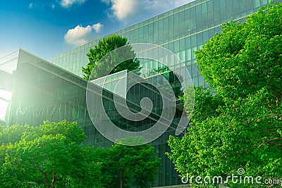 Eco-friendly building with vertical garden in modern city. Green tree forest on sustainable glass building. Energy-saving Stock Photo