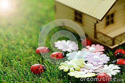 Eco friendly house Stock Photo