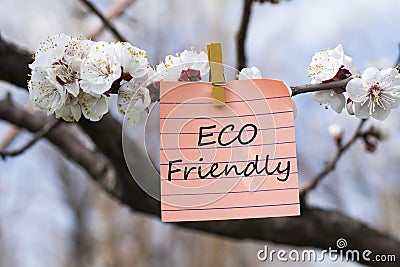 Eco friendly in memo Stock Photo