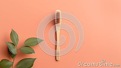 Eco-friendly zeb brush made of wood with plant bristles, caring for the environment. Stock Photo