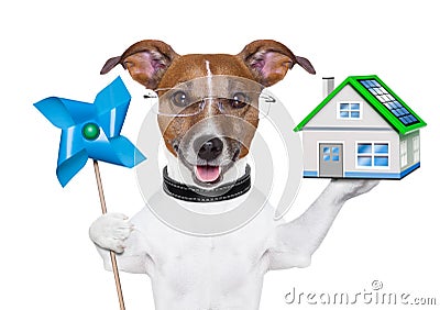 Eco energy dog Stock Photo