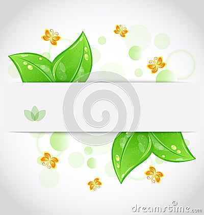 Eco green leaves with with butterfly Vector Illustration