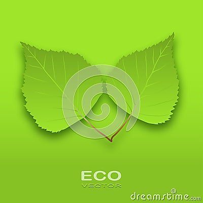 Eco Leaves Vector Illustration