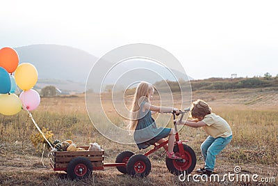 Eco life. Children farmer concept. Carefree childhood. daughter and son working in the farm. Happy children farmers Stock Photo