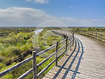 Eco path wooden walkway, ecological trail path Stock Photo