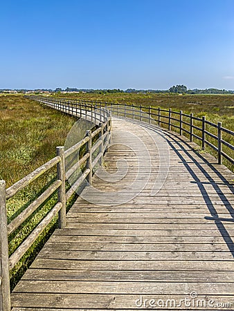 Eco path wooden walkway, ecological trail path Stock Photo