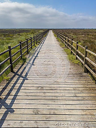 Eco path wooden walkway, ecological trail path Stock Photo