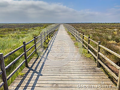 Eco path wooden walkway, ecological trail path Stock Photo