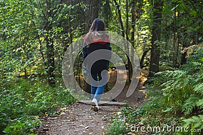 Eco path wooden walkway in Komarovo Shore, Komarovsky Bereg Natural Monument ecological trail path - route walkways laid in the Editorial Stock Photo