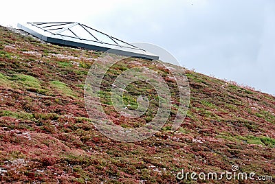 Eco roof 2 Stock Photo