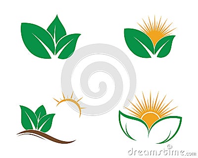 Eco Tree Leaf Logo shutterstock Vector Illustration