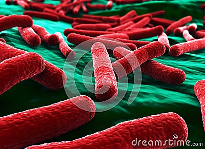 Ecoli Bacteria Close up Red Stock Photo