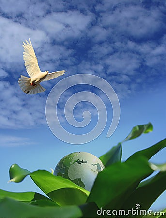 Ecological Stock Photo