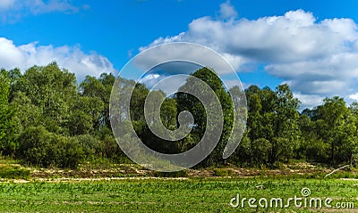 Ecological catastrophy. Drought. Parched river Disappearance of water Stock Photo