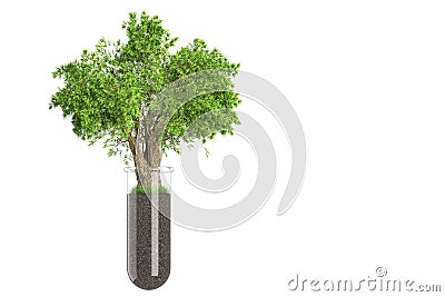 Ecological concept. An evergreen tree on a green lawn growing in a glass tube as a concept of waste-free production and Cartoon Illustration