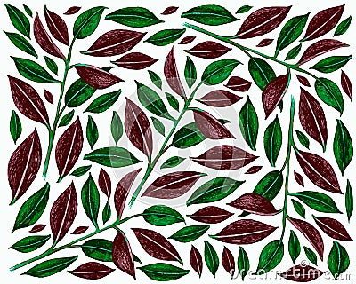 Illustration of Ficus Elastica or Rubber Plants Background Vector Illustration
