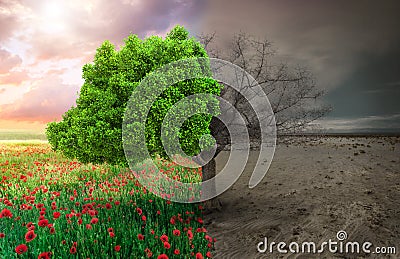 Ecological concept with tree and climate changing landscape Stock Photo