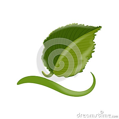 Ecological green nature leaf icon logo design horticulture concept Vector Illustration