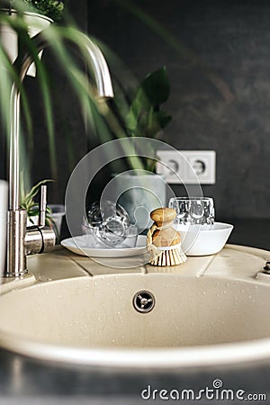 Ecological natural dish brush lies on the sink Stock Photo