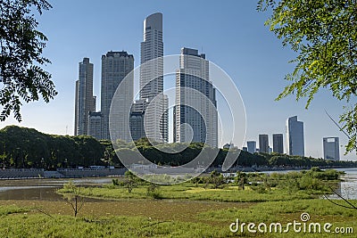 Ecological Reserve in Puerto Madero Neighbourhood, Buenos Aires, Argentina Stock Photo