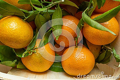 Ecological tangerine basket on a light wooden base Stock Photo