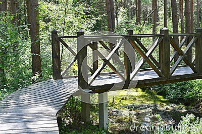 Ecological trail in a forest swamp. Wooden path between trees. Log bridge over the bog Stock Photo
