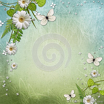 Ecology background with beautiful daisy Stock Photo