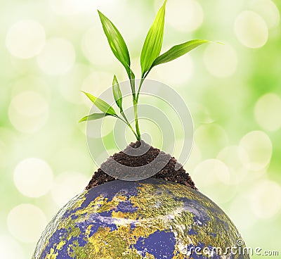 Ecology concept Stock Photo