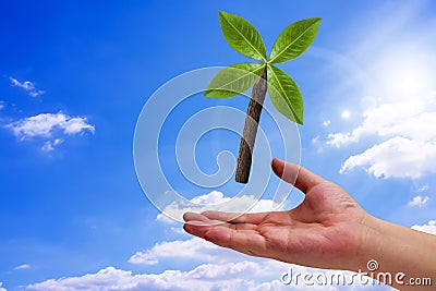 Ecology Concept Background Stock Photo