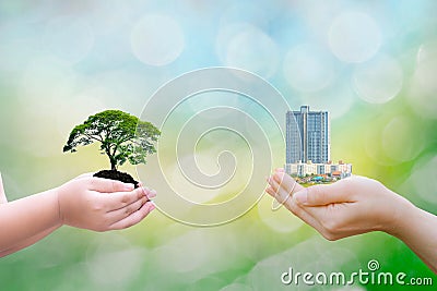 Ecology concept child human hands holding big plant tree building with on blurred background Stock Photo