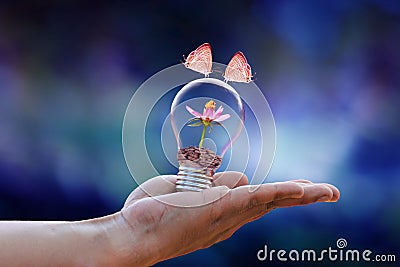 Butterfly couple flower ecology concept energy Stock Photo