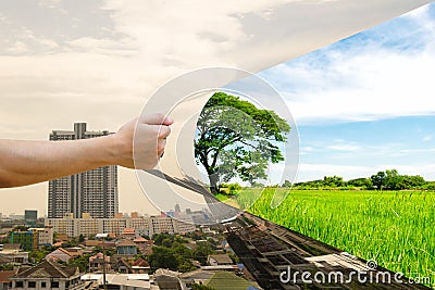 Ecology Concept Hand pull Invade the forest a building Stock Photo