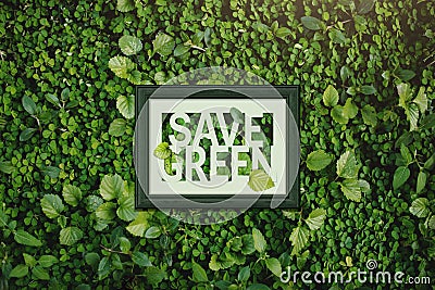 Ecology concept, Save green word inside wooden photo frame, surrounding with Natural Green Leaf Stock Photo