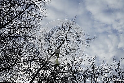 A bursting balloon caught in the nets of a tree. Berlin, Germany Stock Photo