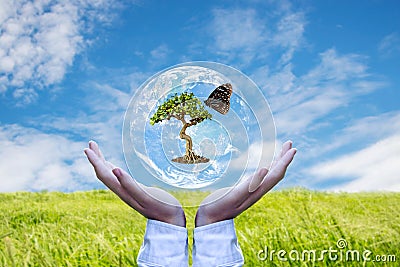 Ecology and Environment Earth. Planet and tree with butterfly in human hands over green and sky nature Stock Photo