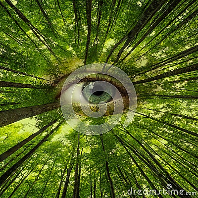 Ecology Stock Photo