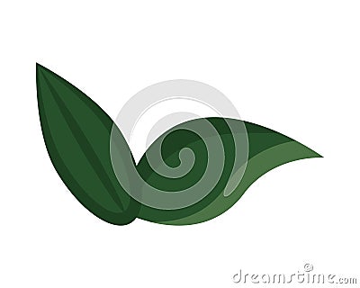 Ecology leafs foliage nature icon Vector Illustration