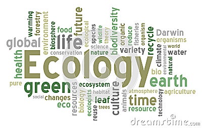 Ecology Word Cloud Vector Illustration