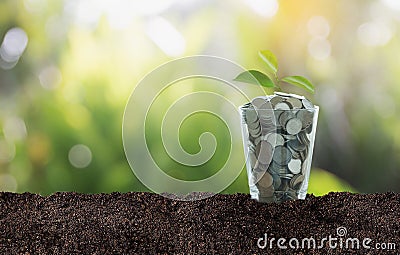 economic Investment And Interest concept Stock Photo