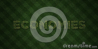 ECONOMIES - fresh Grass letters with flowers and dandelions - 3D rendered royalty free stock image Stock Photo
