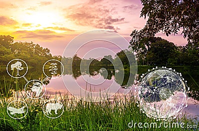 Ecosystem and preserve nature and sustainable Stock Photo