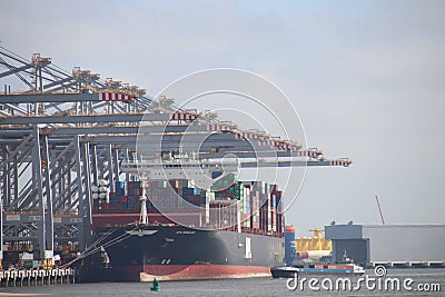ECT seafreight container terminal on the Maasvlakte in the port of Rotterdam Editorial Stock Photo