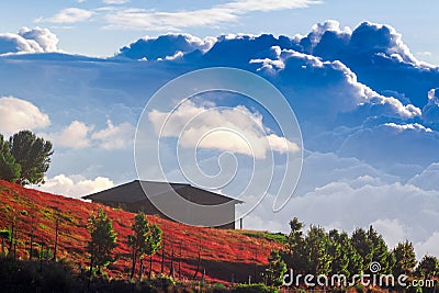 Ecuador Expat Living Stock Photo