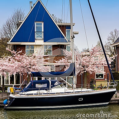 EDAM, NETHERLANDS - APRIL 14, 2018: Traditional dutch house with yacht and blooming spring tree on the canal waterfront. Edam is a Editorial Stock Photo