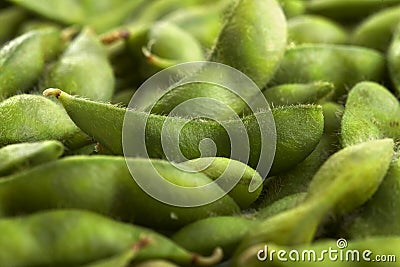 Edamame soya bean pods Stock Photo