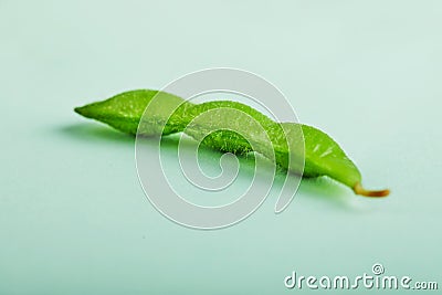 Edamame or soybeans isolated on a turquoise background Stock Photo