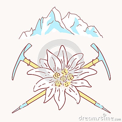 Edelweiss alpenstock mountains flower symbol alpinism alps germany logo Vector Illustration